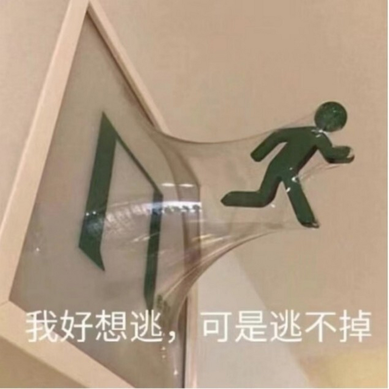 康康无奈又淘气表情包 生活不易,猪猪叹气,下次分享一波快乐的表情包