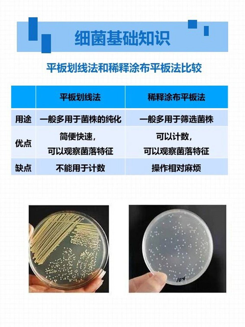 👿细菌基础知识|两种细菌分离方法比较 1⃣️平板划线法和稀释