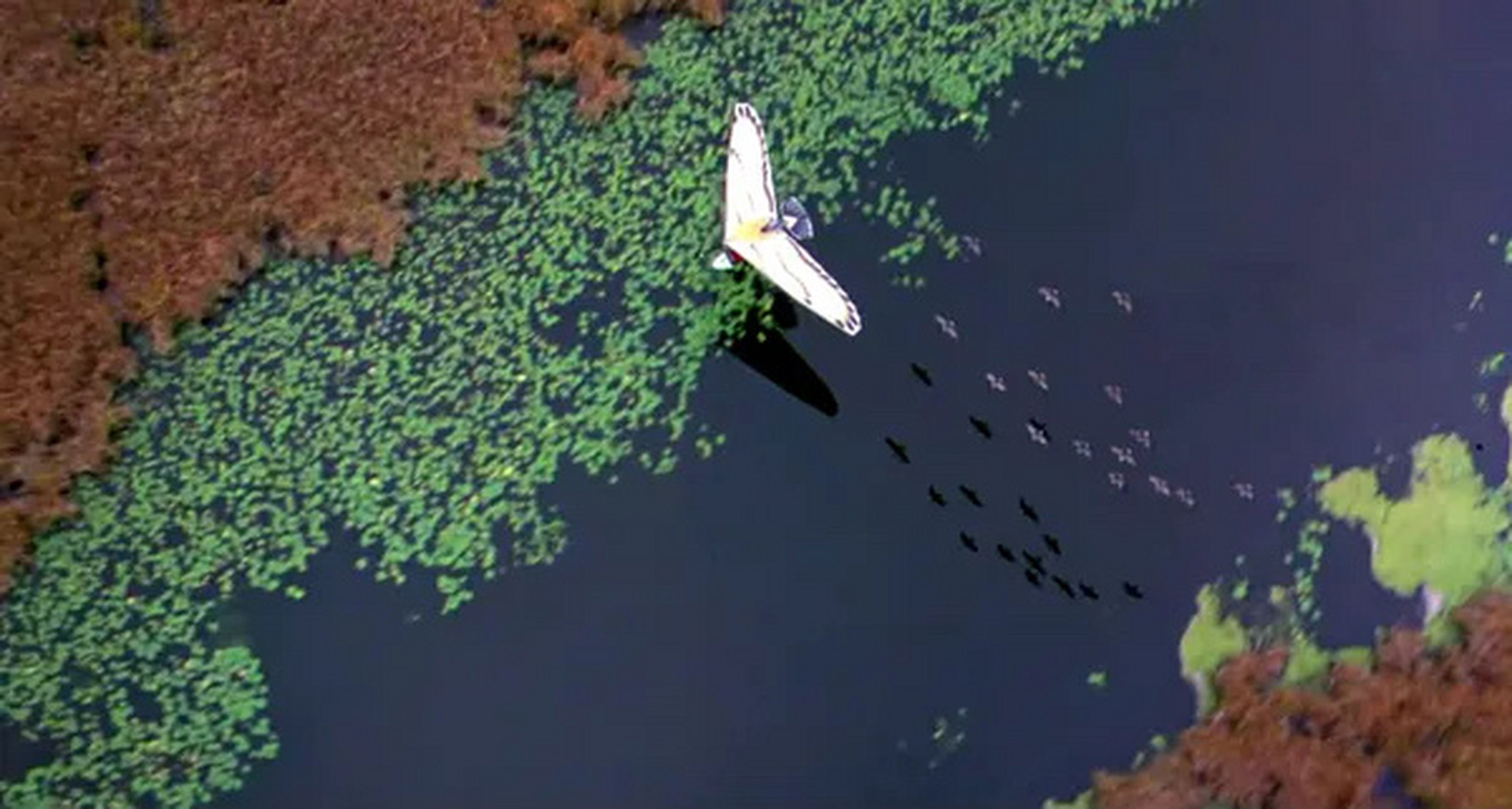 1996年《伴你高飞》  她独自出发,寻找梦想,无人帮忙.