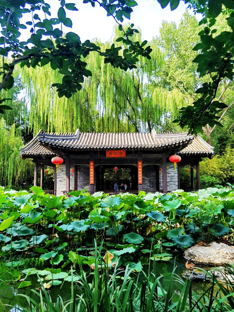 北京潭西胜境景区竟然是消失已久的太平湖 在北京积水潭桥西北角,与车