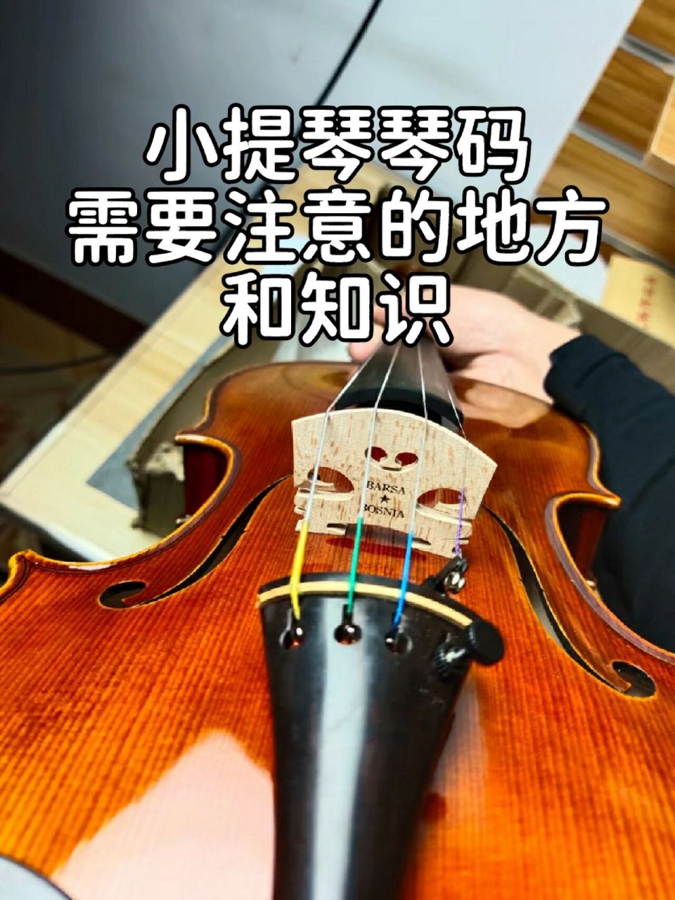 小提琴琴码:能给小提琴带来的变化7215 小提琴琴码要注意什么?