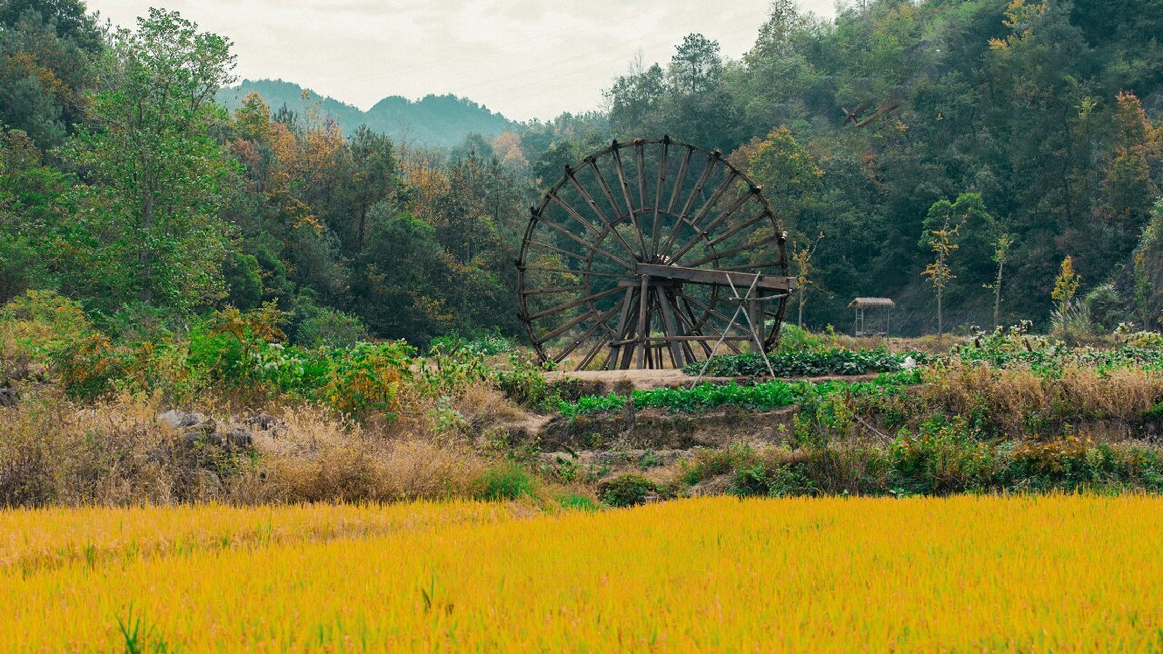 田耕纪壁纸5.0|一些好看的空镜 秋意浓,正是丰收的季节02