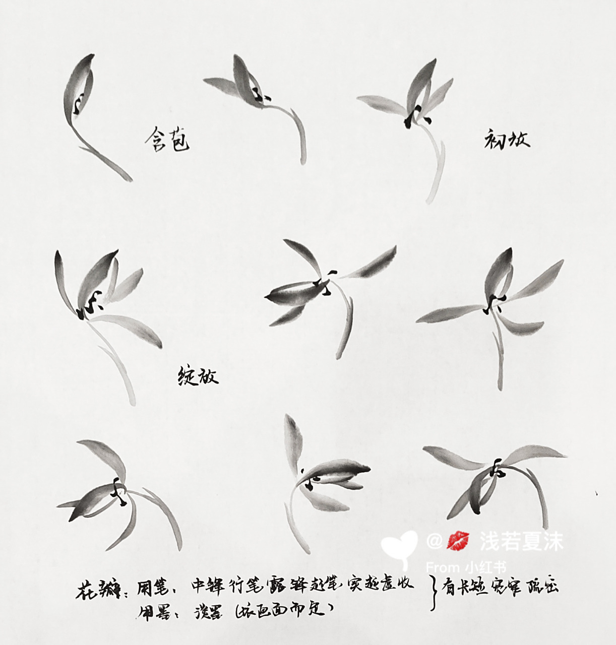 第二课兰花花朵画法 一,兰花的画法: (1)花苞的画法:一笔长,一笔短.