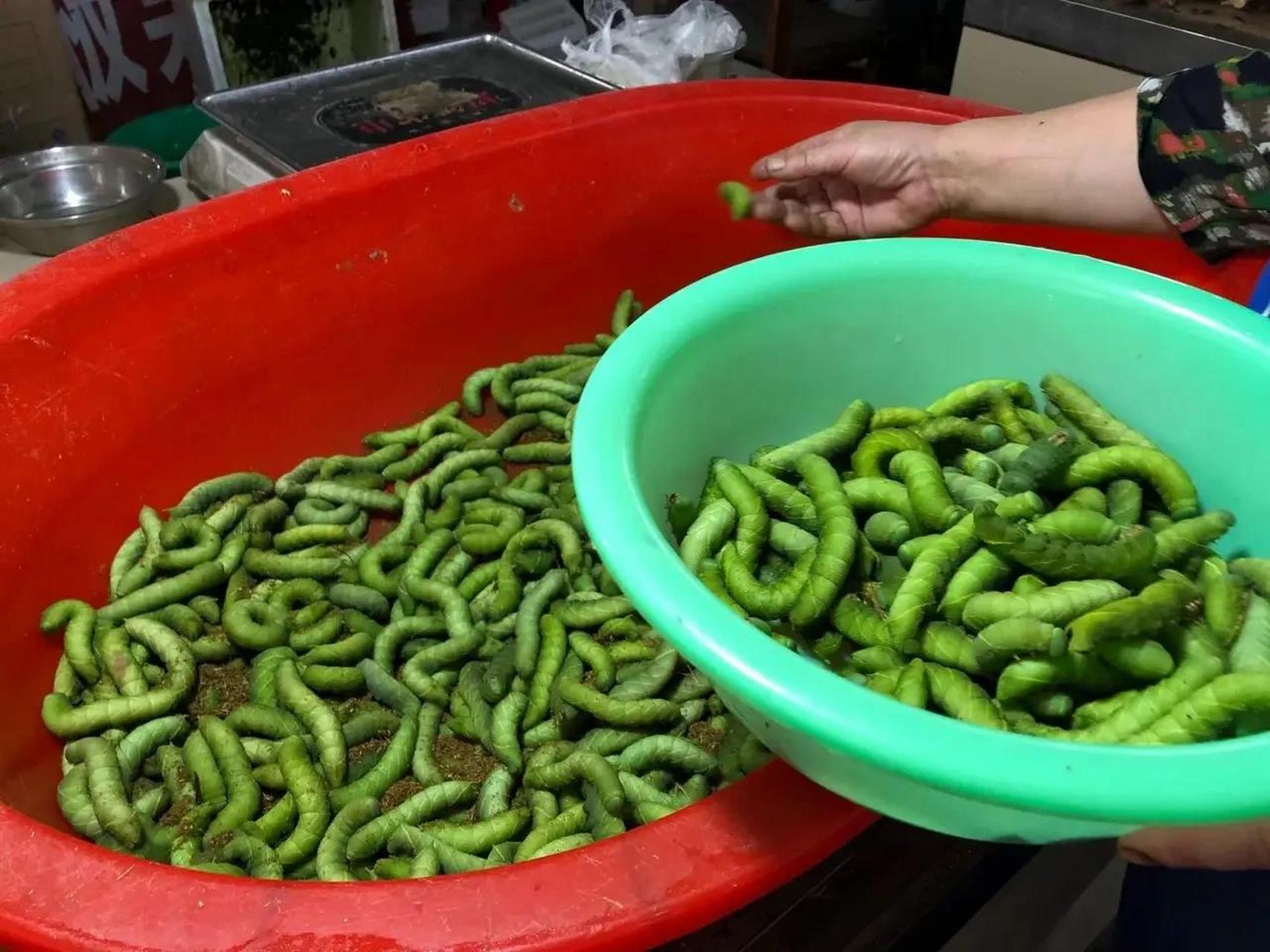 连云港灌云豆丹 可以毫不夸张的说,列举挑战你味蕾承受力的美食品种