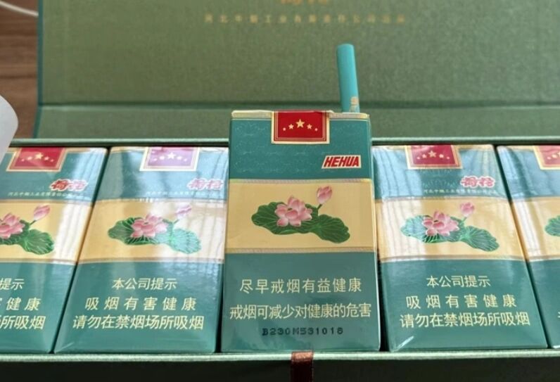 软包荷花烟尽早版图片