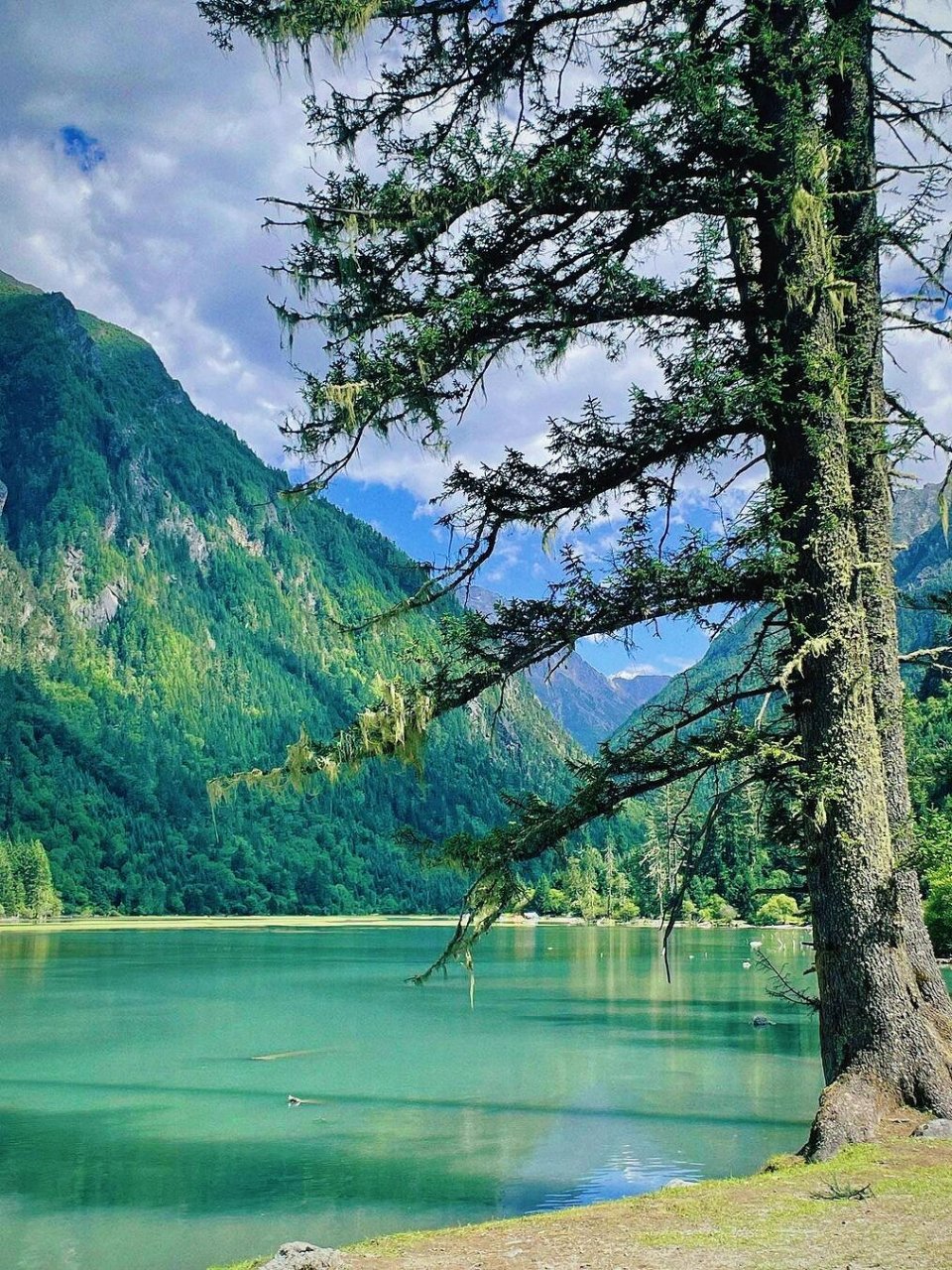 去月亮湖吧9015这个湖泊也太美了"附攻略 来川西是会上瘾的,每到