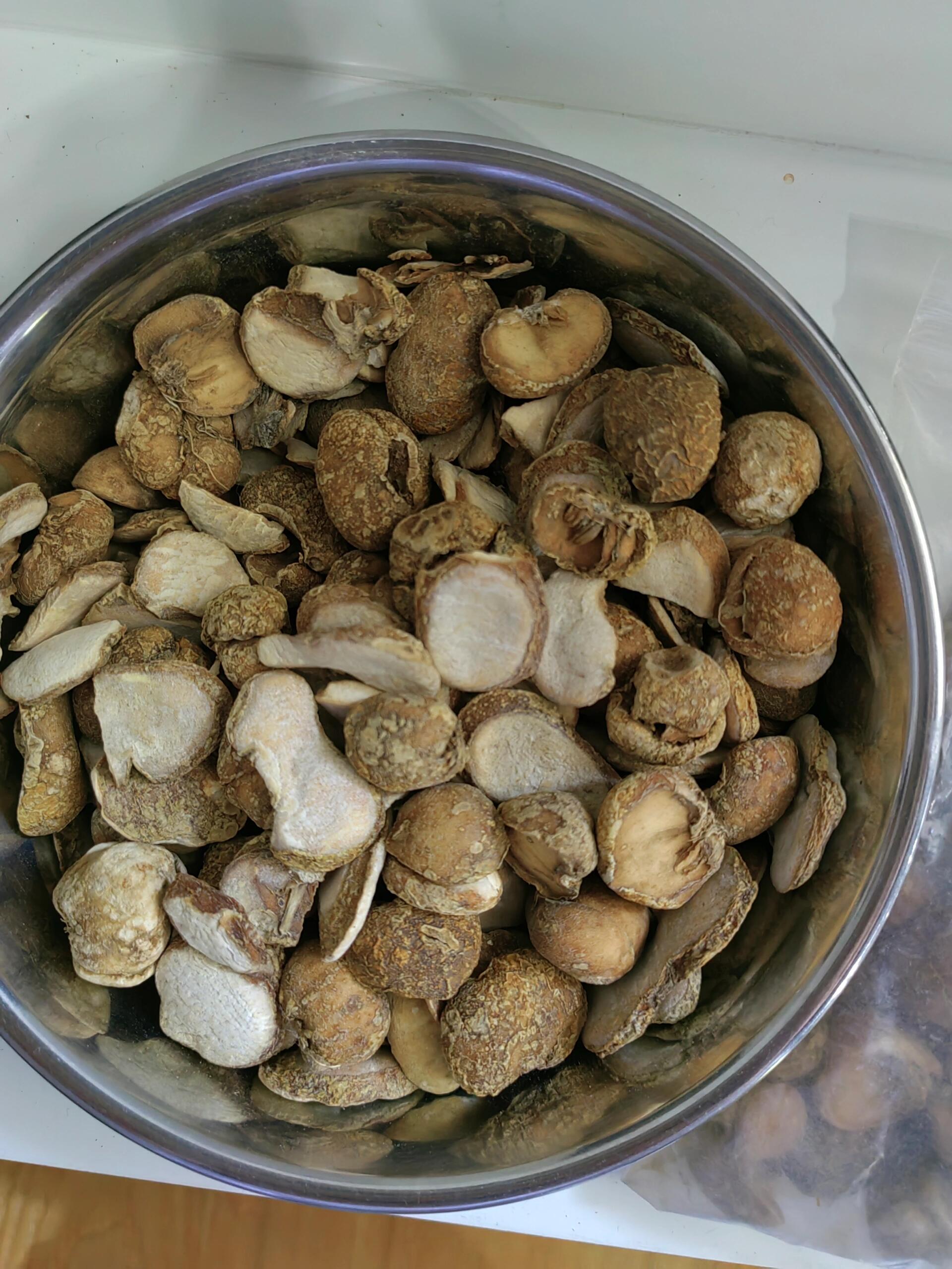 学习一味中药—3.浙贝母