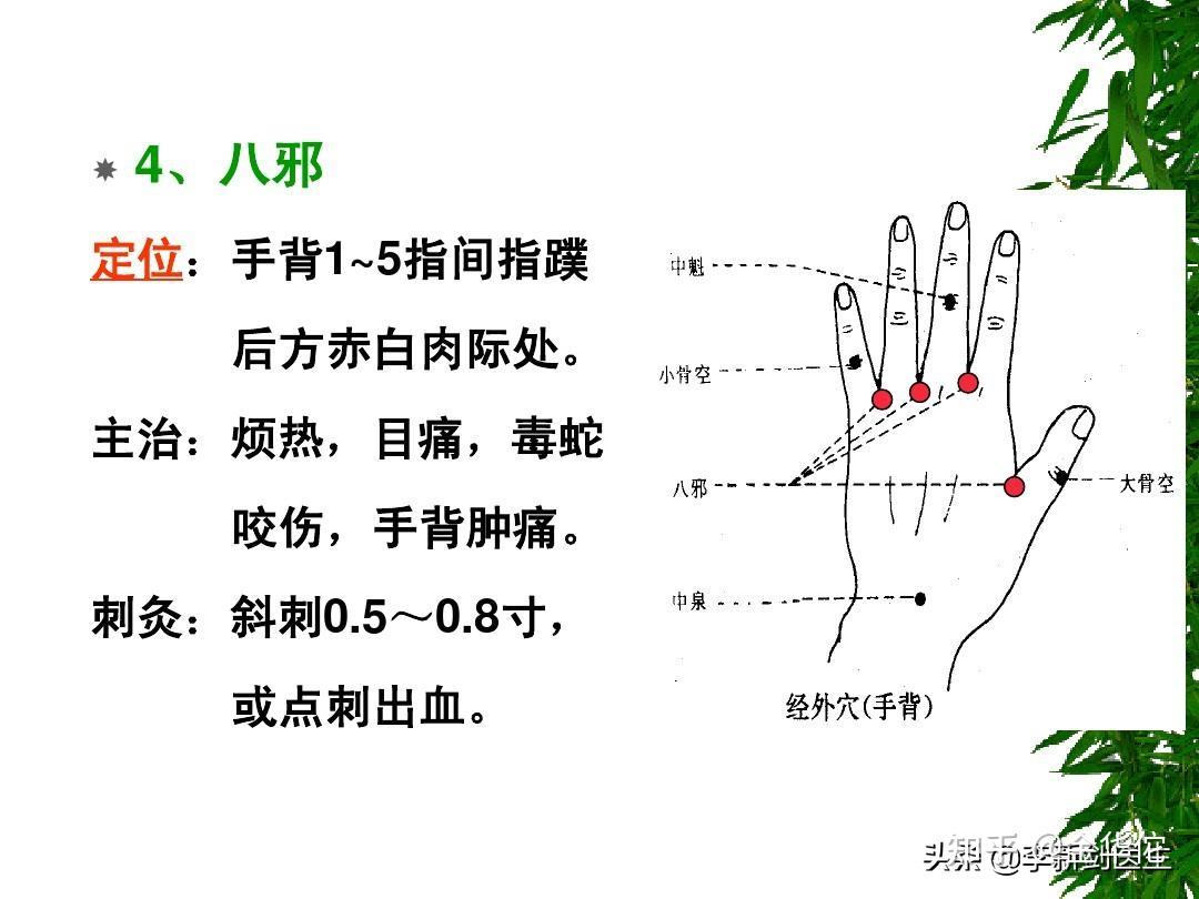 八邪的准确位置图片图图片