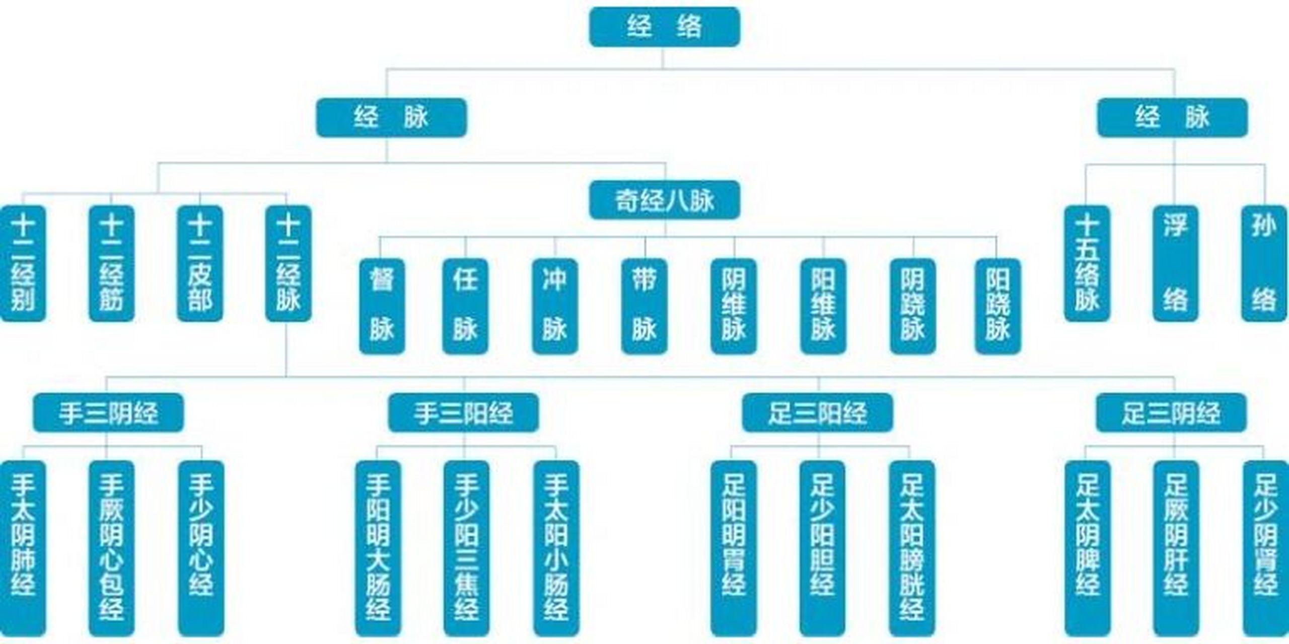 中医经络图解图片