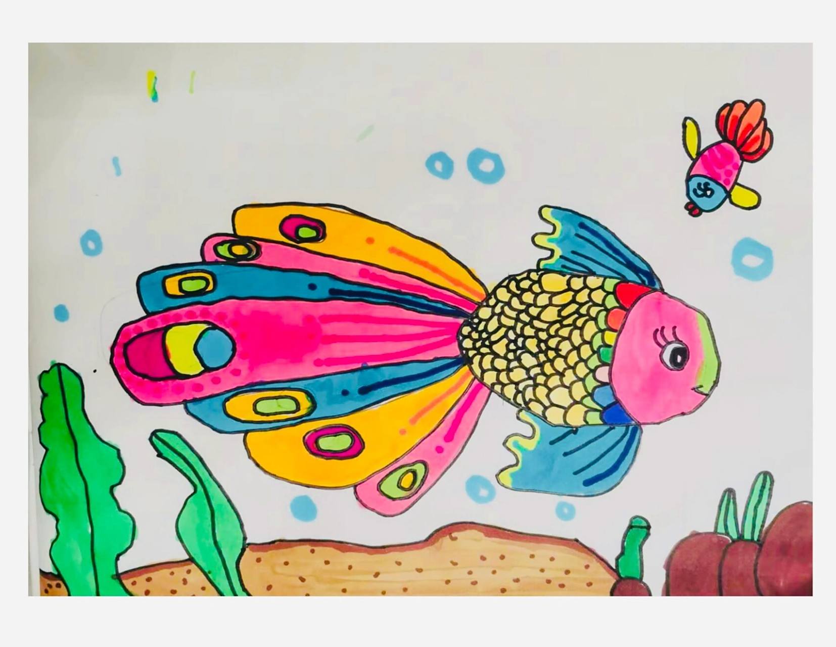 孔雀鱼创意儿童画6-7岁 课程名称《美丽的孔雀鱼》 材料:铅笔,橡皮