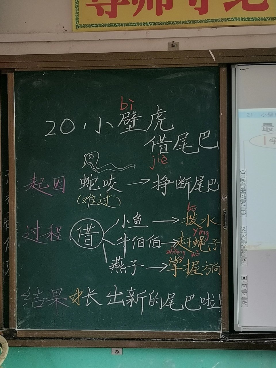 小壁虎借尾巴板书 #板书设计# #小壁虎借尾巴# #一年级语文