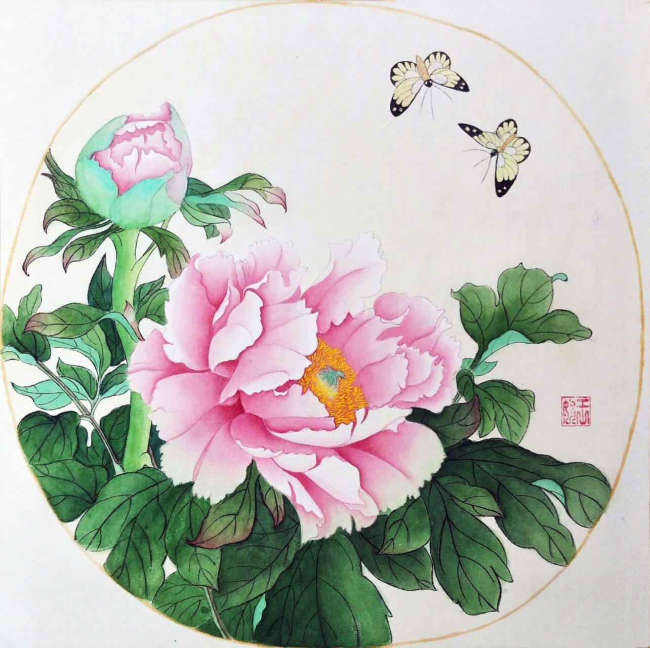 国画牡丹 何人不爱牡丹花,工笔细细描摹它.