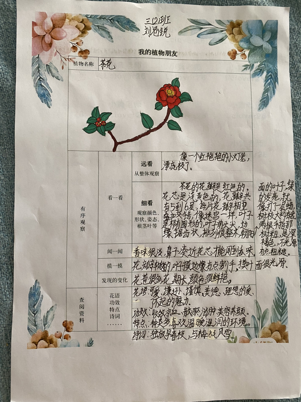 植物记录卡怎么写三年级人教版下册(植物记录卡怎么写三年级人教版下册300字)
