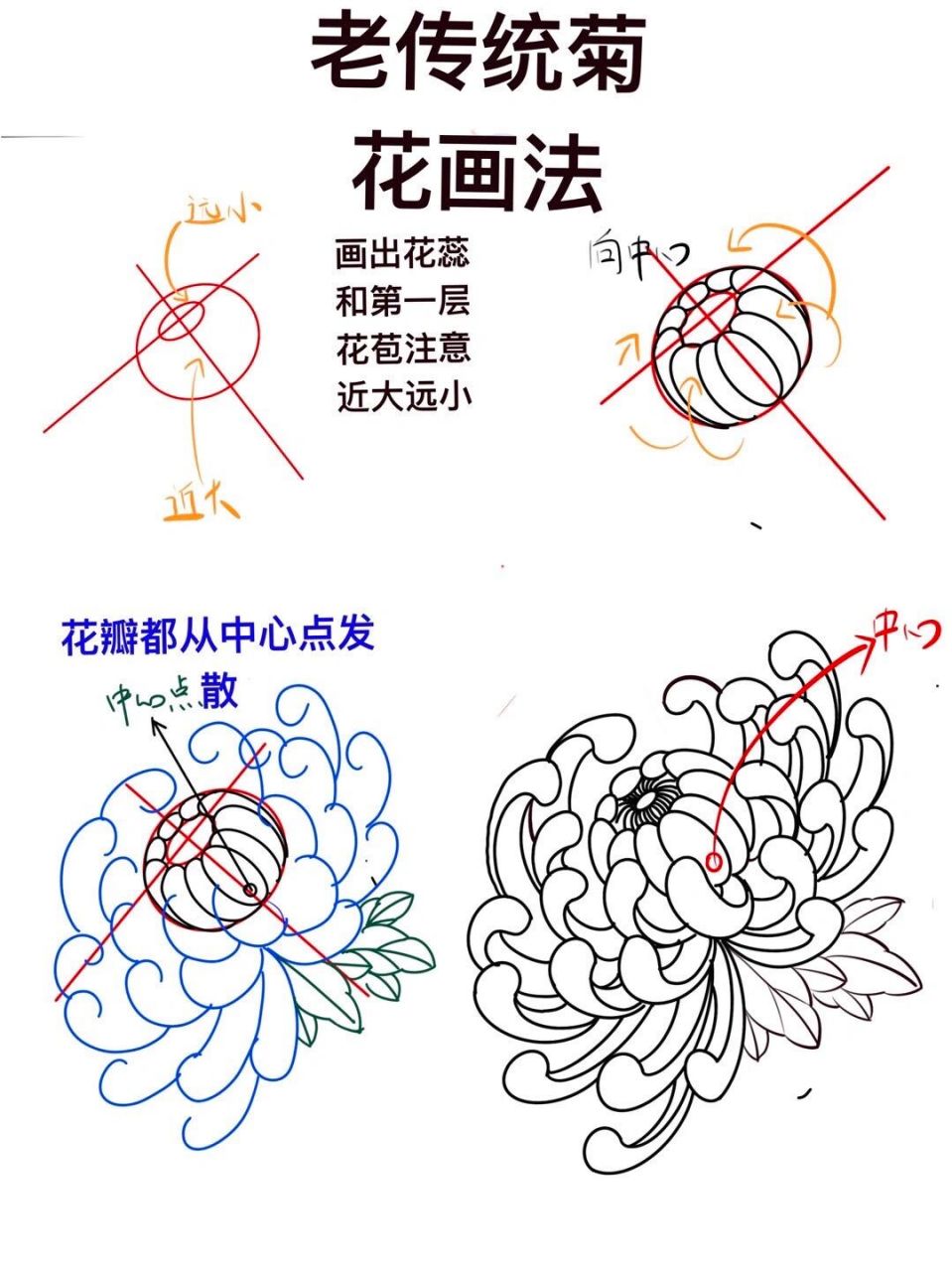 传统菊花画法,手把手带你飞