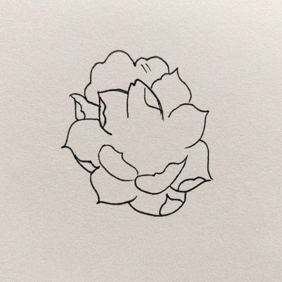 桃花简笔画|5分钟就能画完|零基础