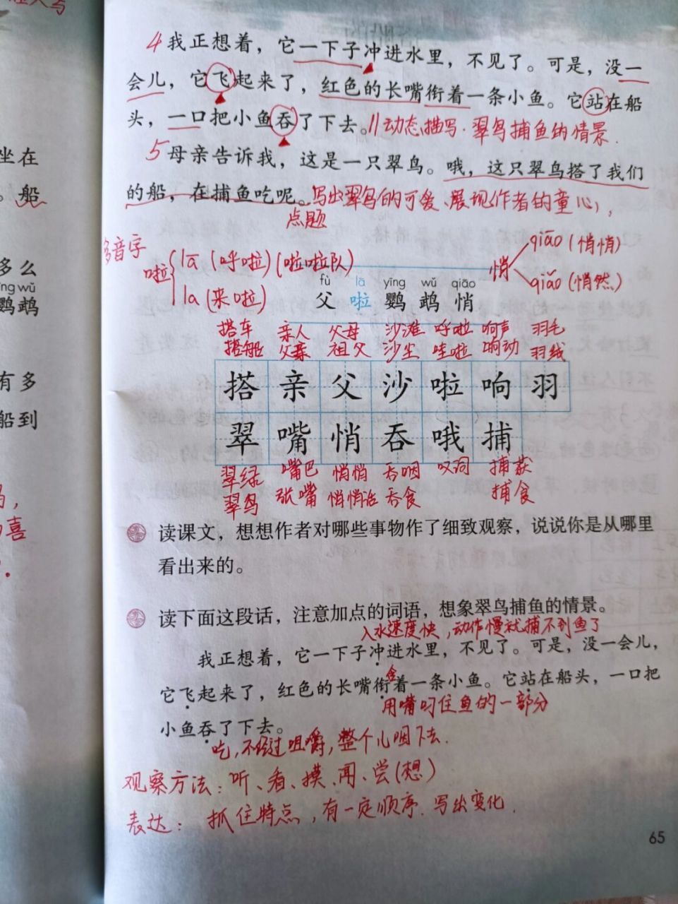 三年级上册《搭船的鸟》备课预习课堂笔记 #三年级上册# #小学语文