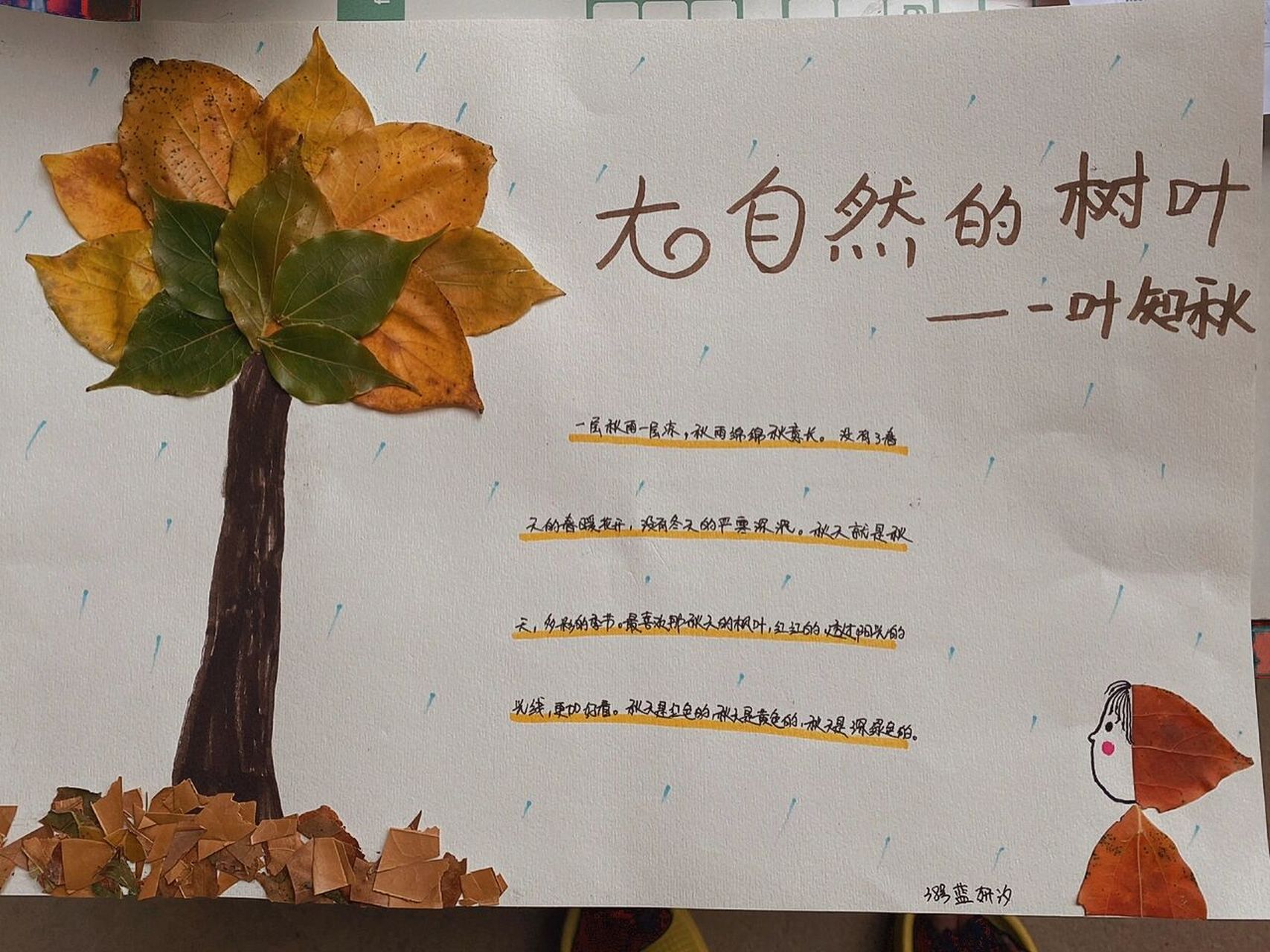 大自然中的树叶手抄报 交作业