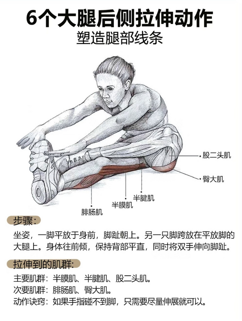 61566个大腿后侧拉伸动作6015轻松塑造腿部线条