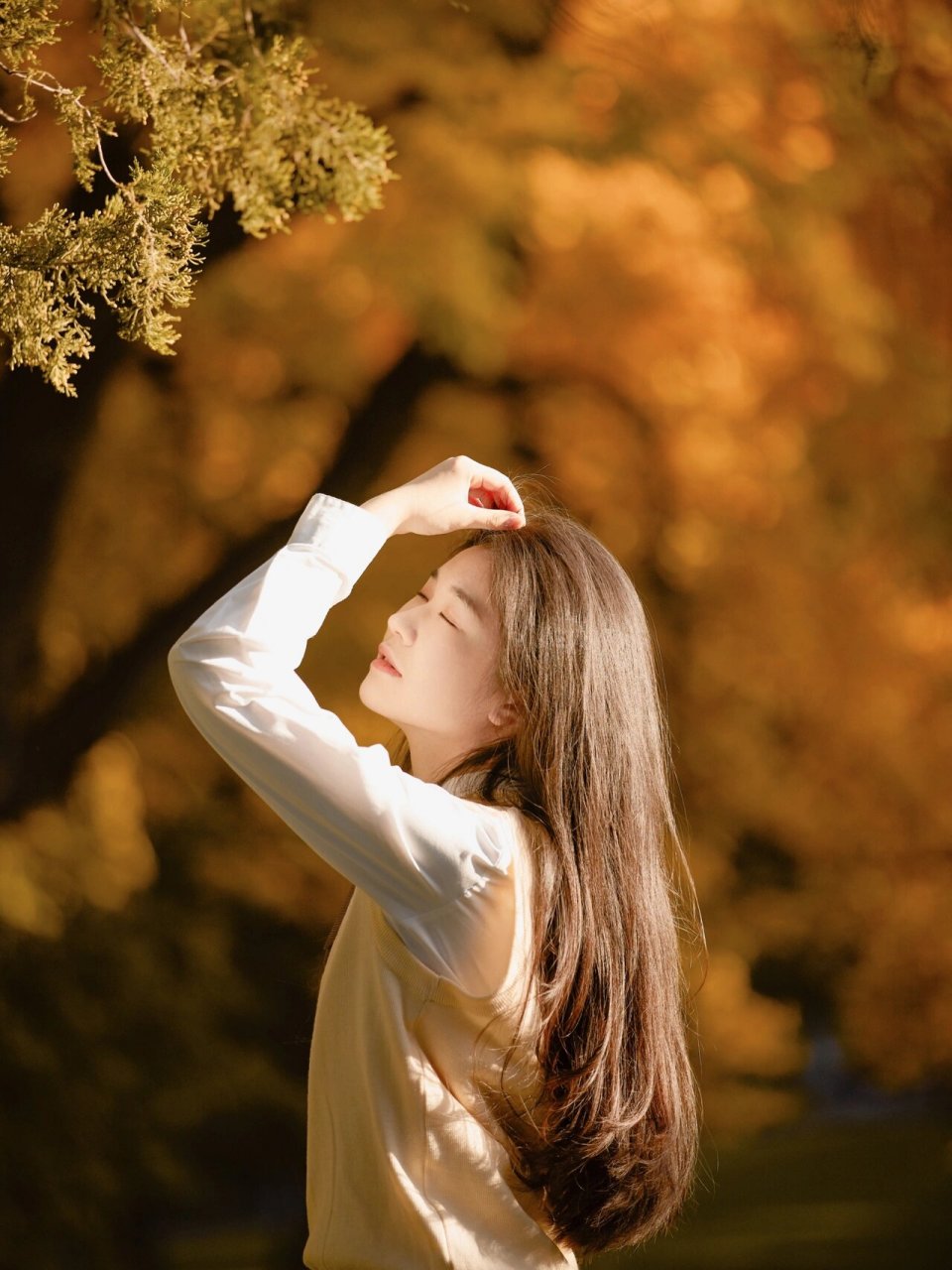 在清华大学居然能拍到这样的秋天照片!