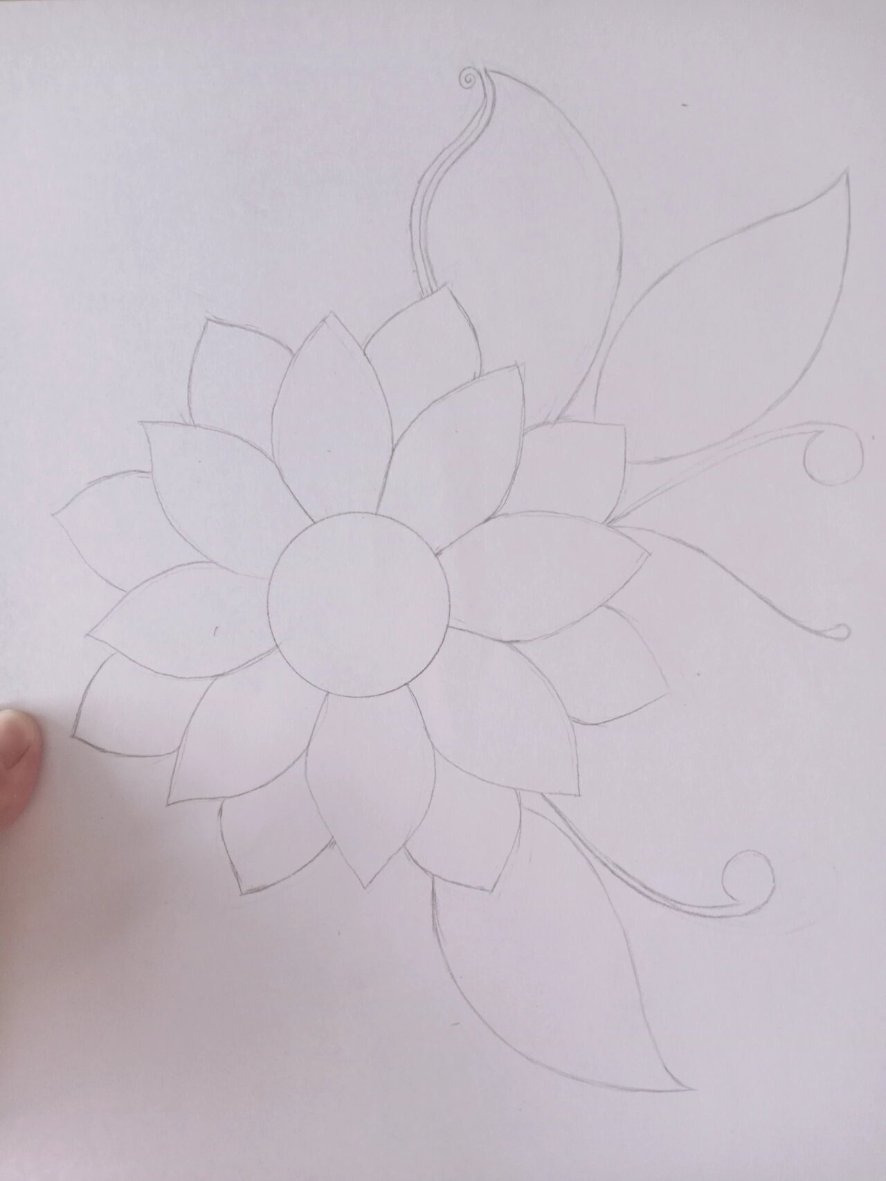 《唯美花朵》线描画绘画过程