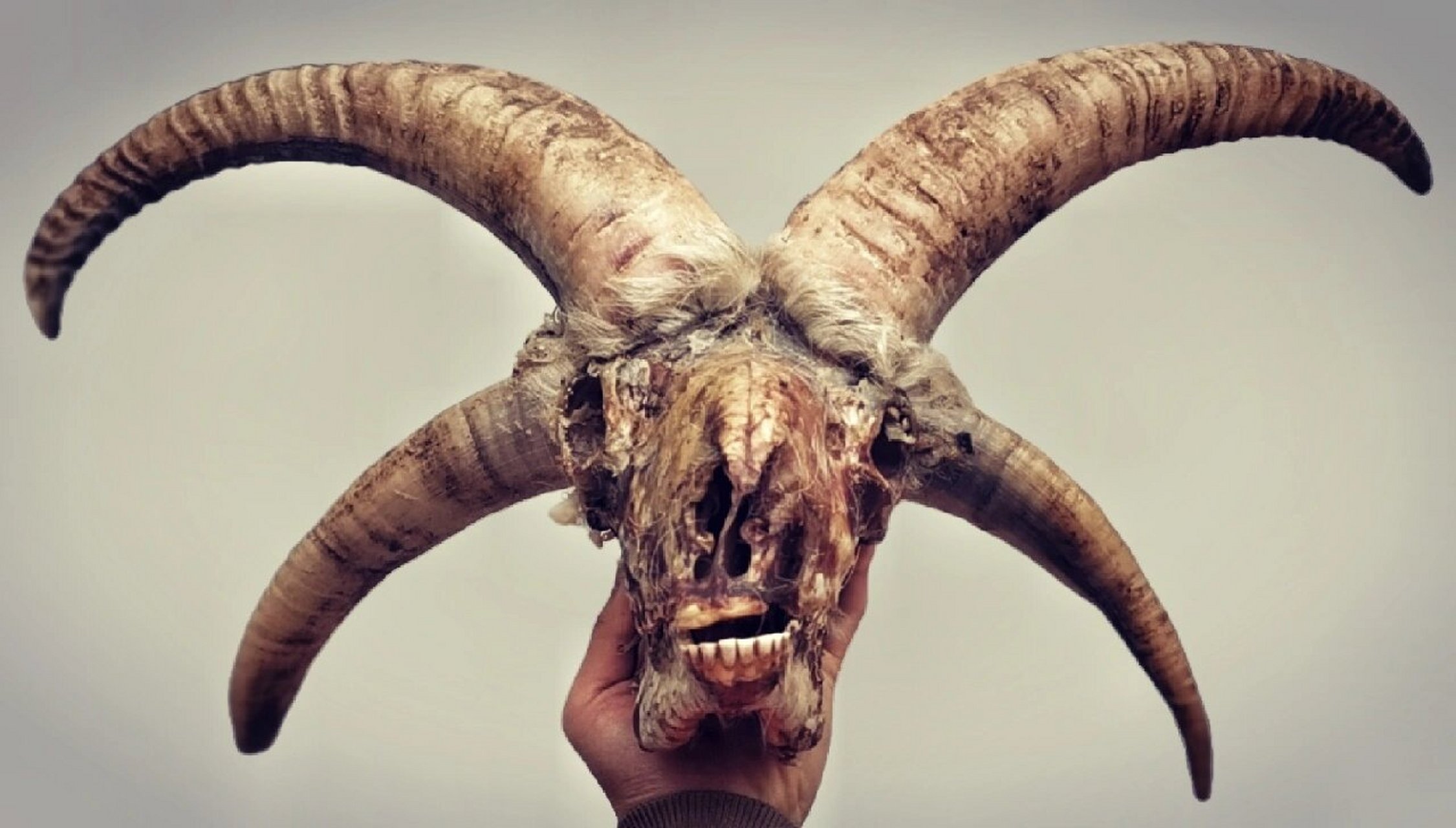 四角恶魔 撒旦 上帝创造了八种动物,而山羊是魔鬼创造的,曼德斯的五芒