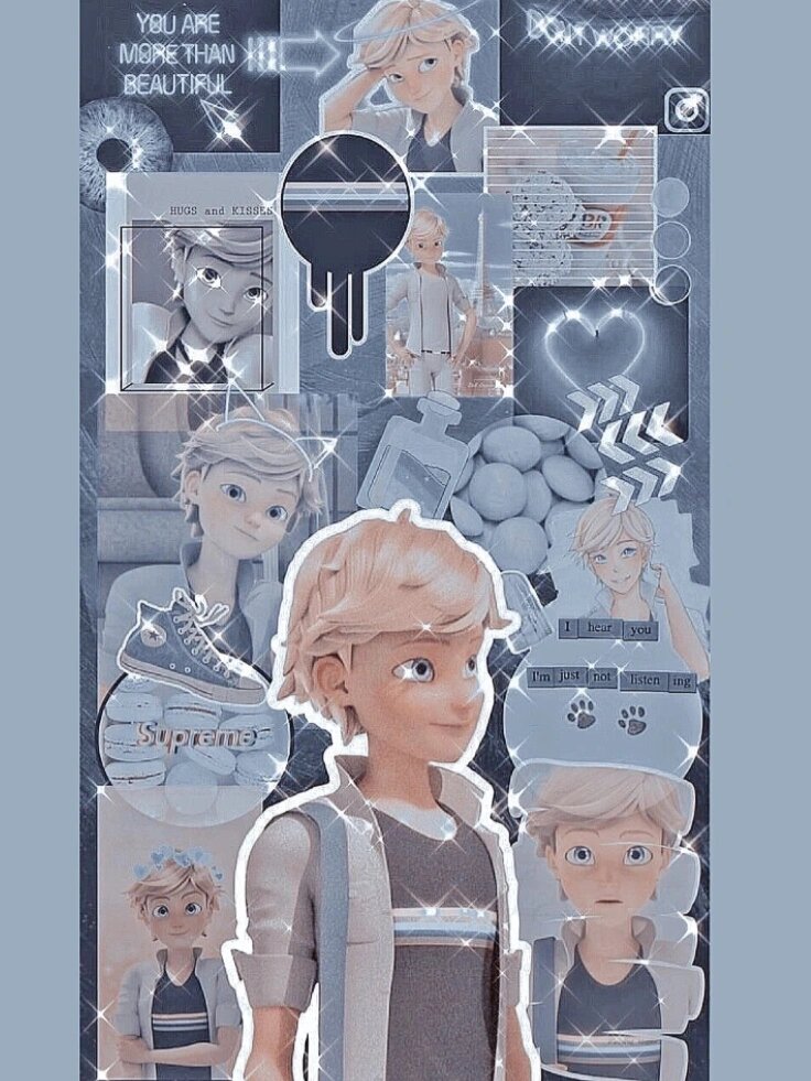 艾俊 adrien 壁纸 - 瓢虫雷迪