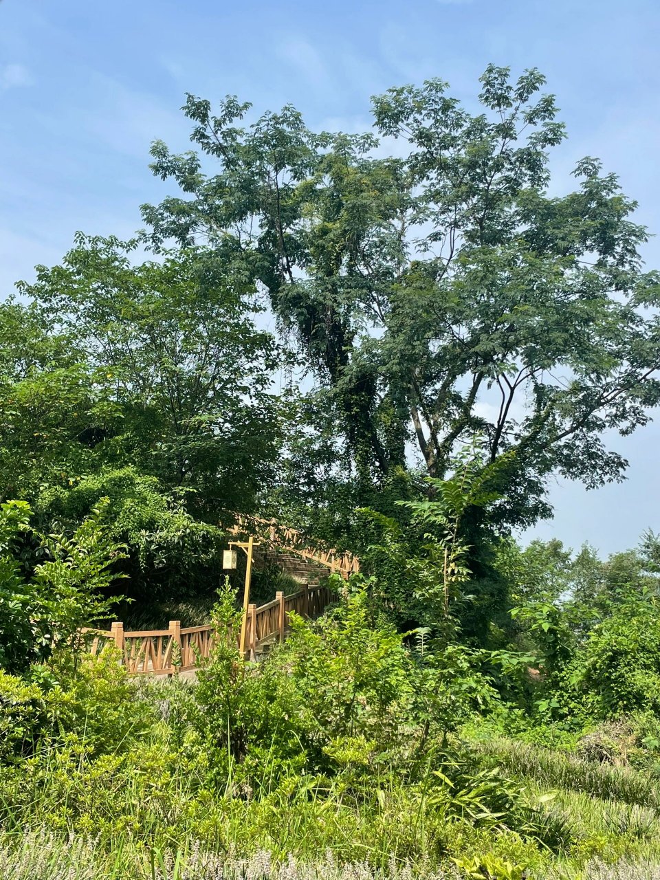 成都轻徒步龙泉 紫霞山 01:龙泉-紫霞山 01:2号线终点站龙泉驿 e2