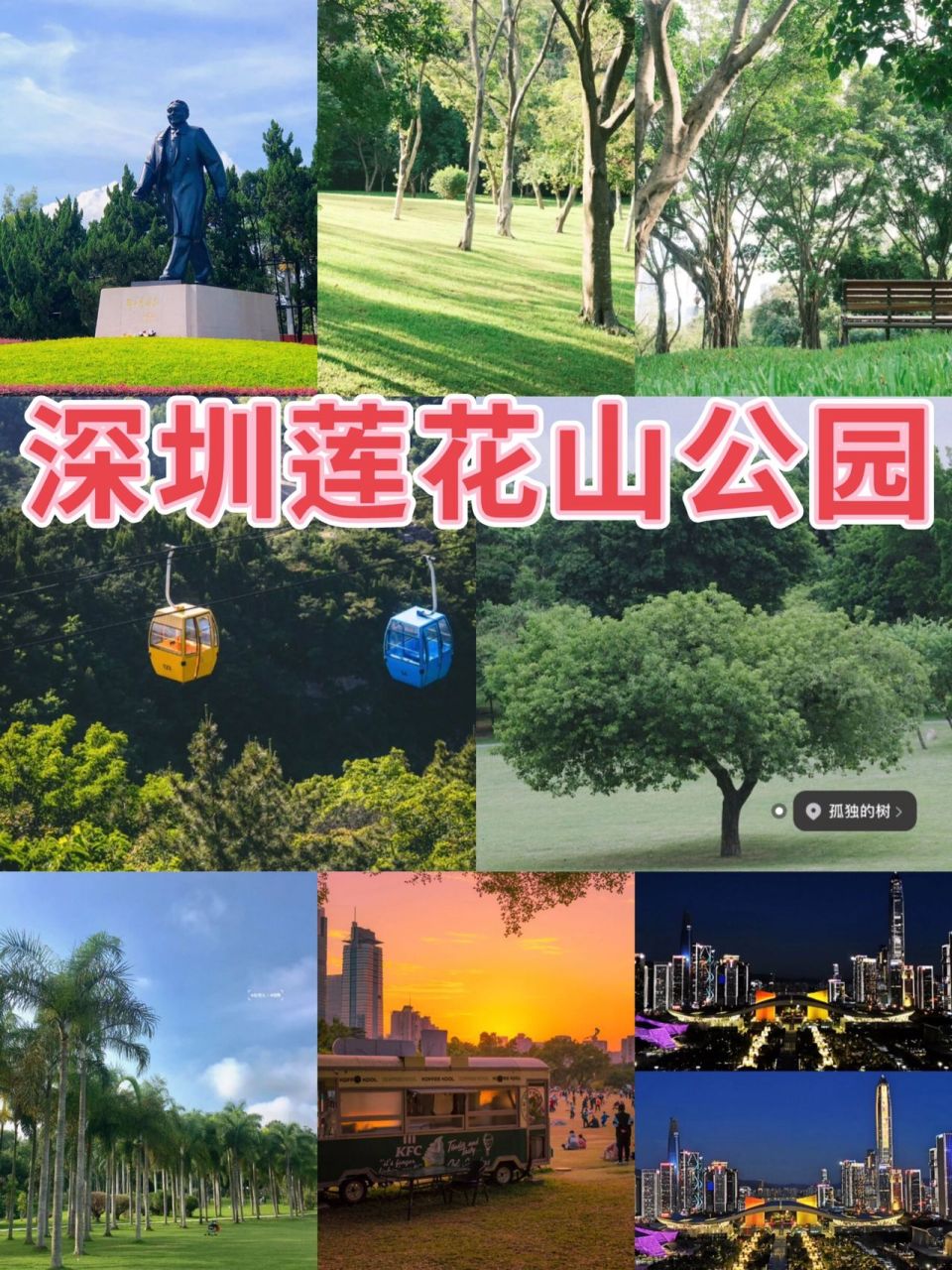深圳莲花山公园7415必打卡网红一颗孤树98   莲花山公园有它的