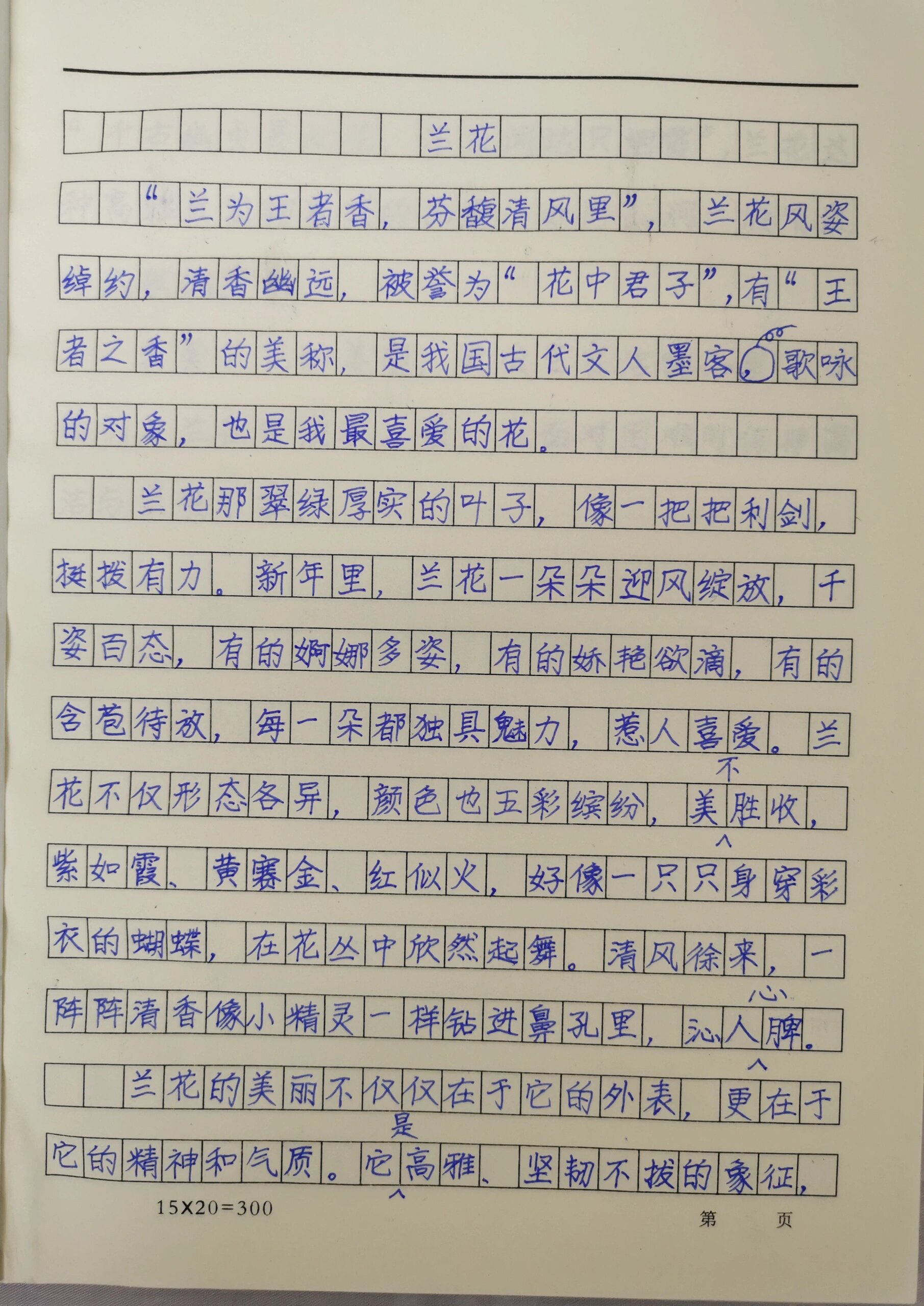 紫玉兰的作文图片