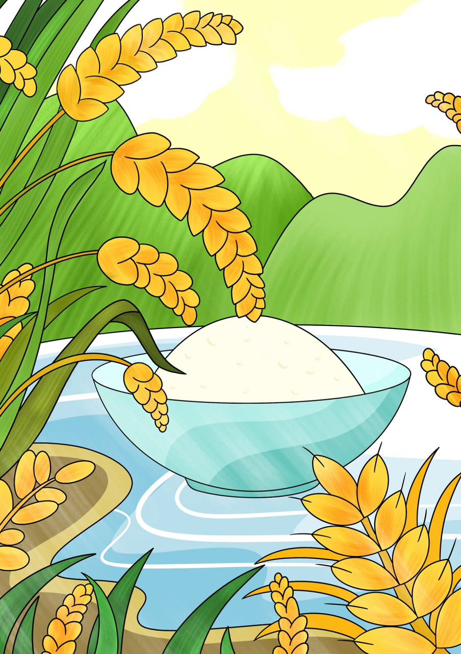 秋季丰收粮食绘画线稿涂色模板43