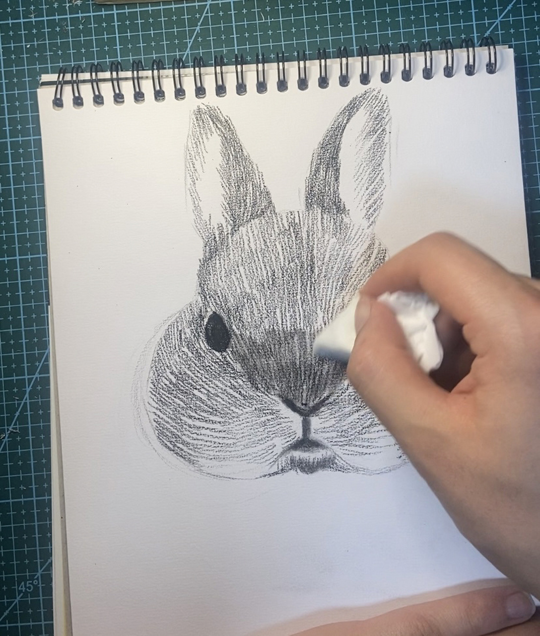 素描动物篇(肥兔)附详细过程图 速涂一只大肥兔!