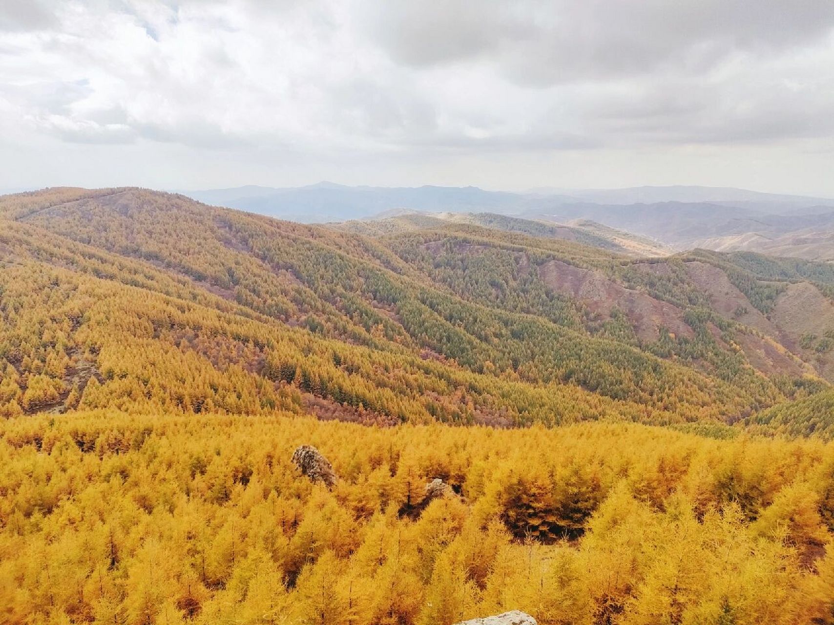 苏木山森林公园位于内蒙古自治区乌兰察布市兴和县城南45公里处,南与