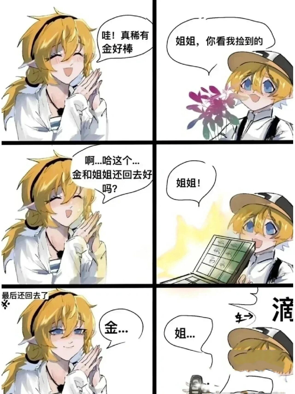 凹凸世界小漫画(25) 一只爱捡东西的金宝