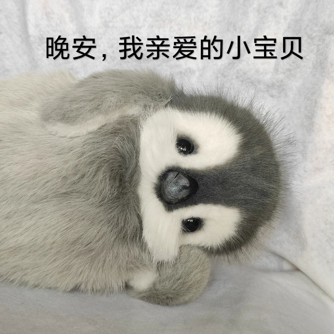 可爱小企鹅表情包【第三弹】来啦 模特小企鹅(傲娇版)表示蒙受大家