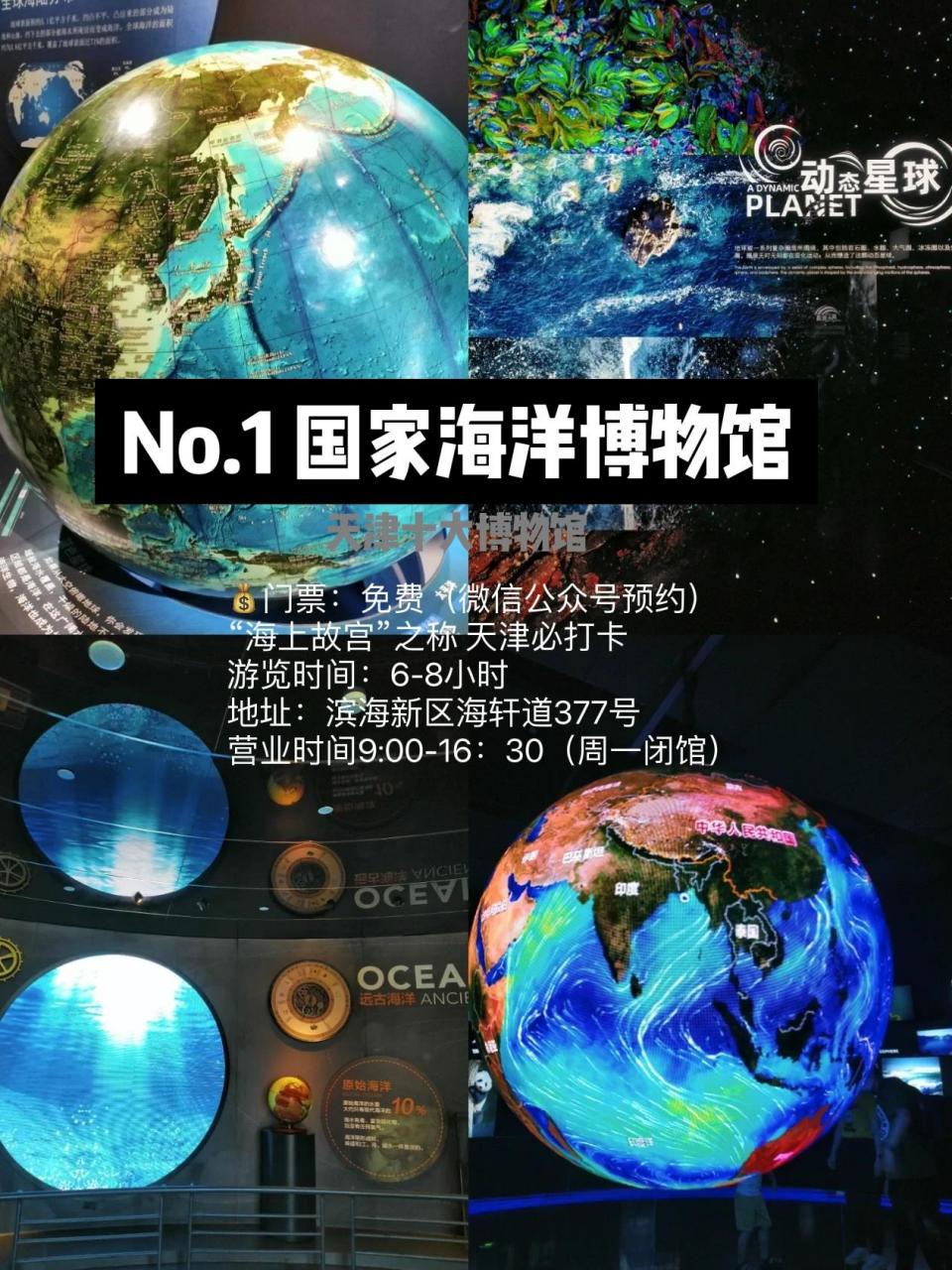 海洋博物馆 90门票:免费(微信公众号预约) "海上故宫"之称 天津必