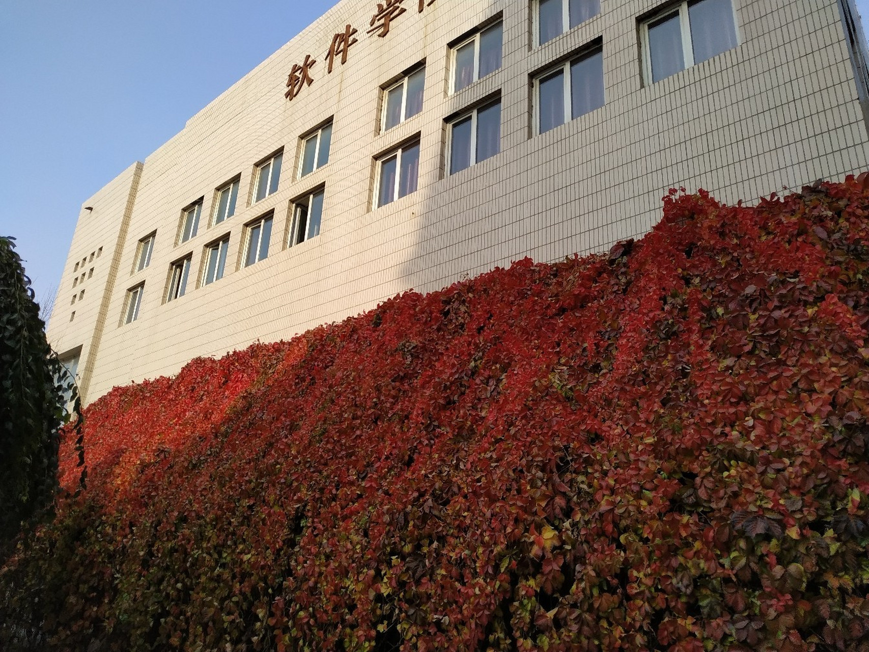 新疆大学(北校区) 本人新疆大学软件工程20级新生一枚,来自浙江,最初