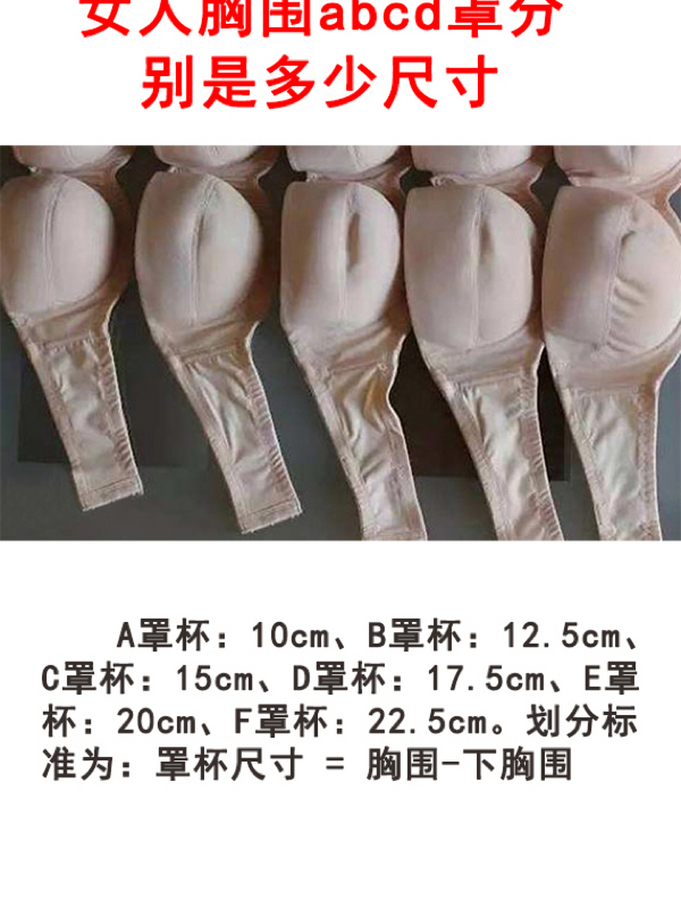 女人胸围abcd罩分别是多少尺寸 a罩杯:10cm,b罩杯:12.