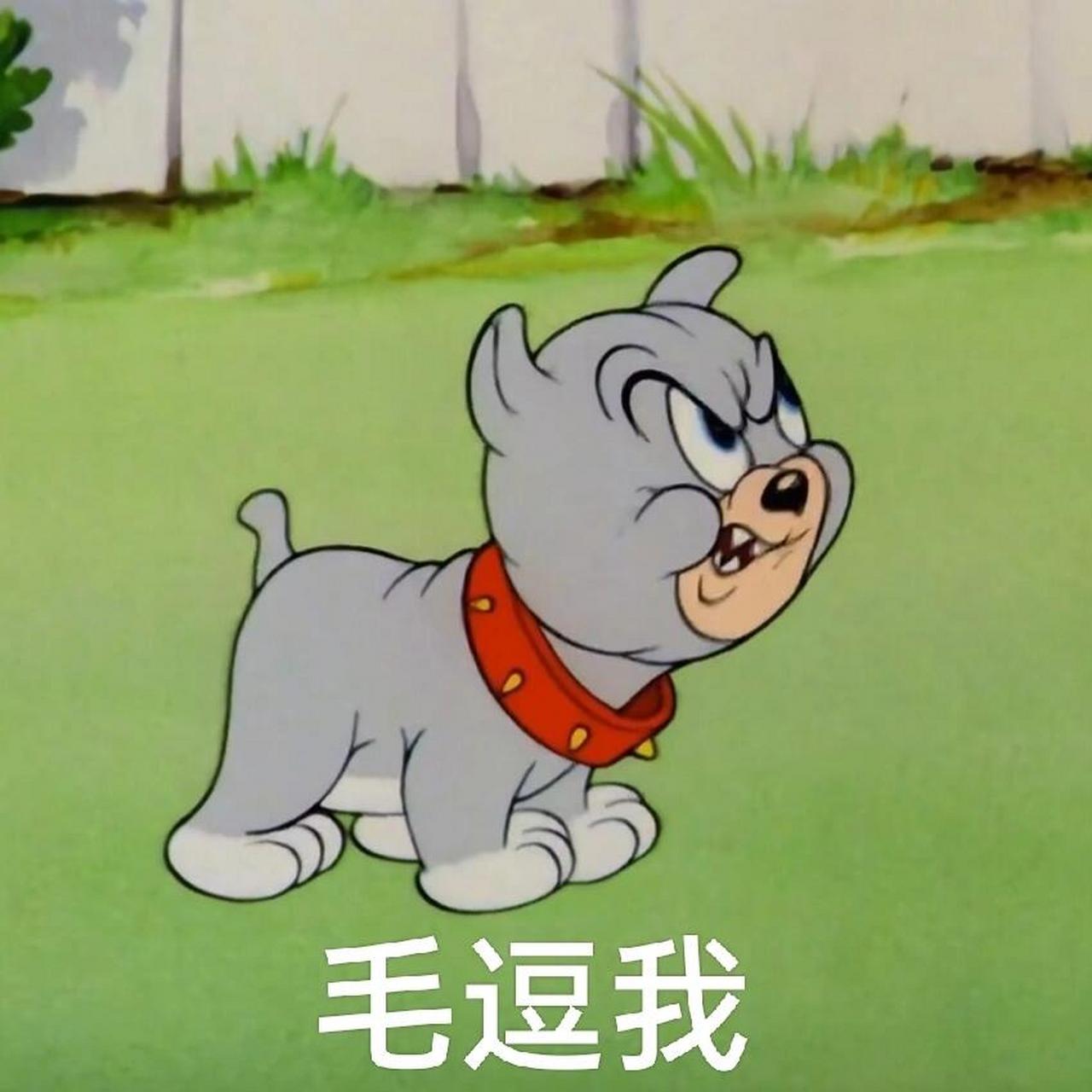 大洋芋小米渣昆明话表情包