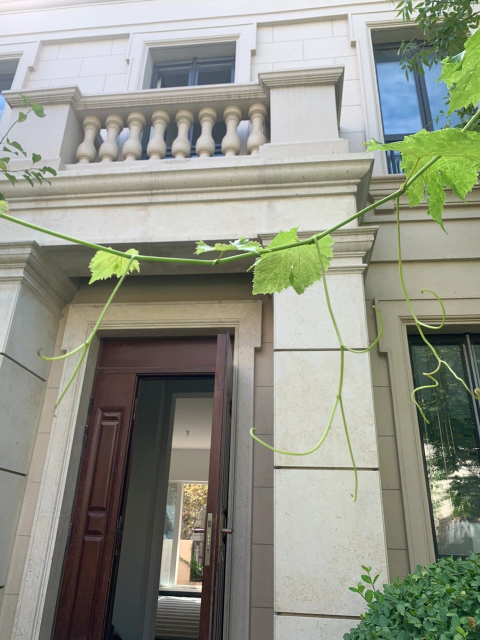 团泊梧桐岛联排别墅 期待混搭风格落地吧