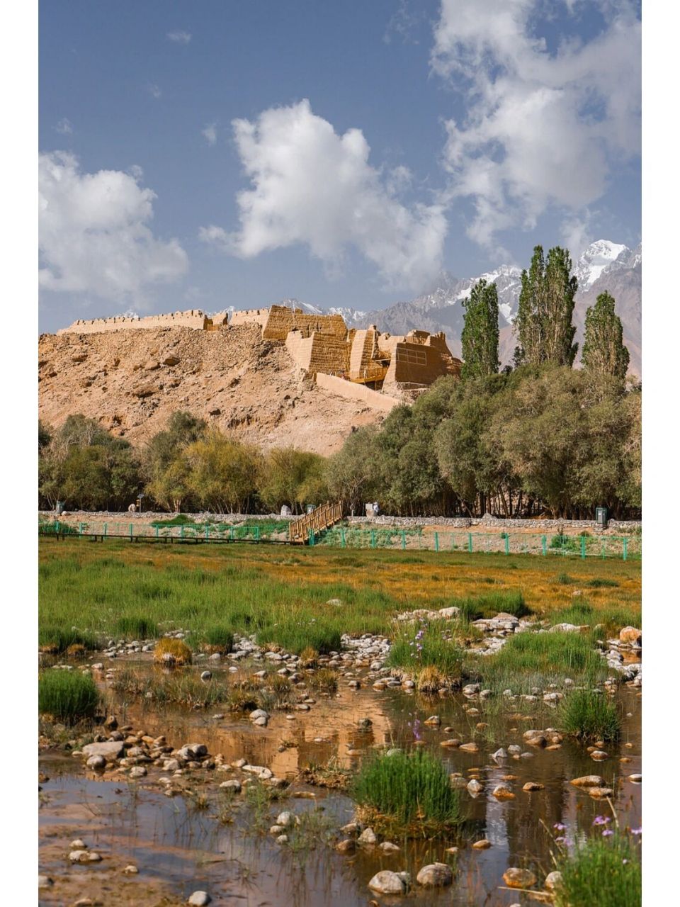 帕米尔高原 | 石头城下金草滩.