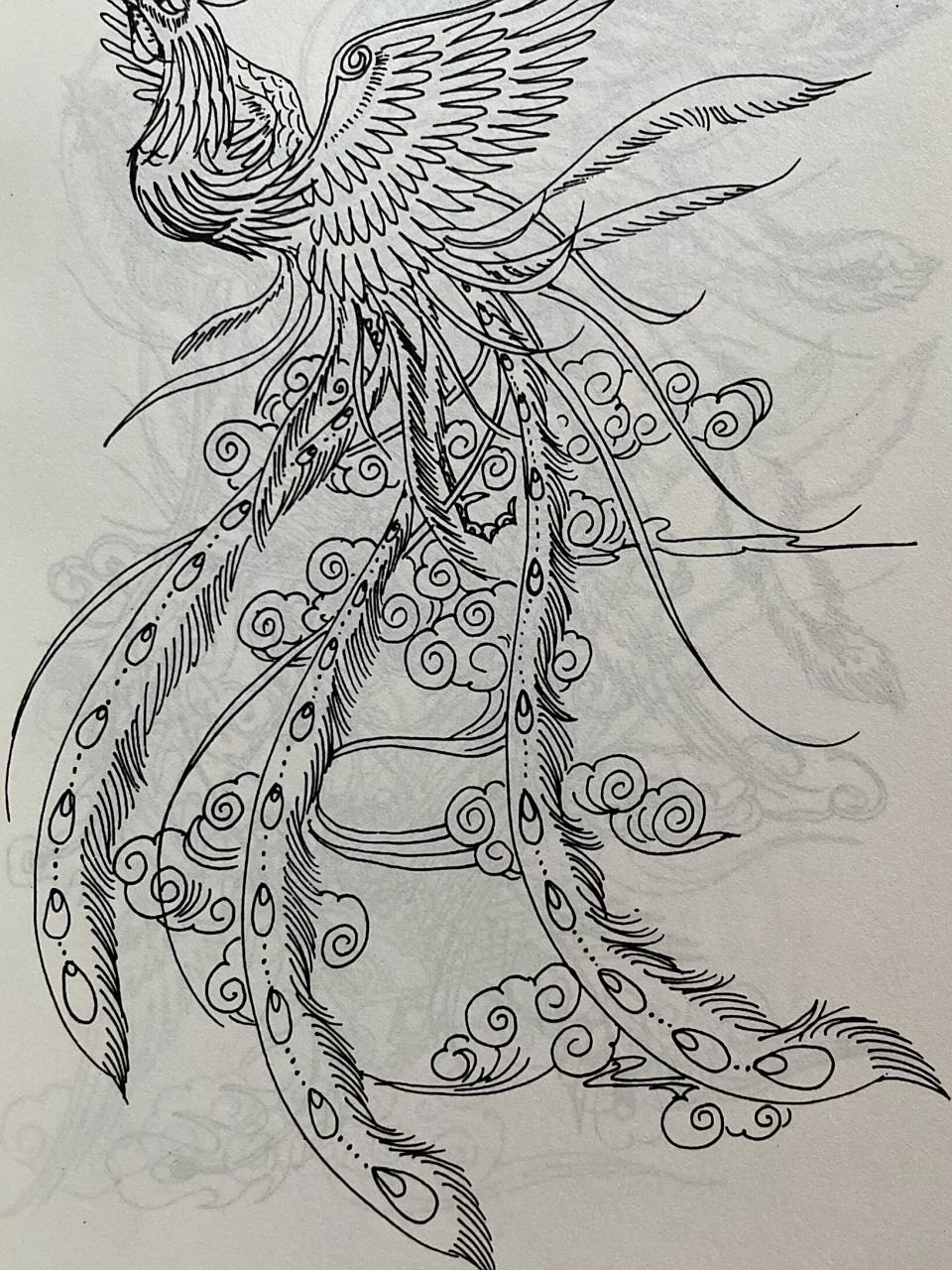 传统纹样图案分享|凤凰 #画画的日常# #笔记灵感# 亦作"凤皇 ".