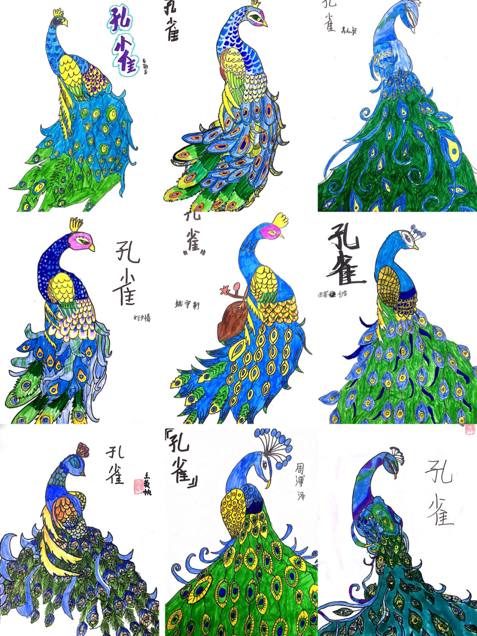 感受孔雀的造型美感和主要特点,画出不同造型的孔雀形态,提高学生造型