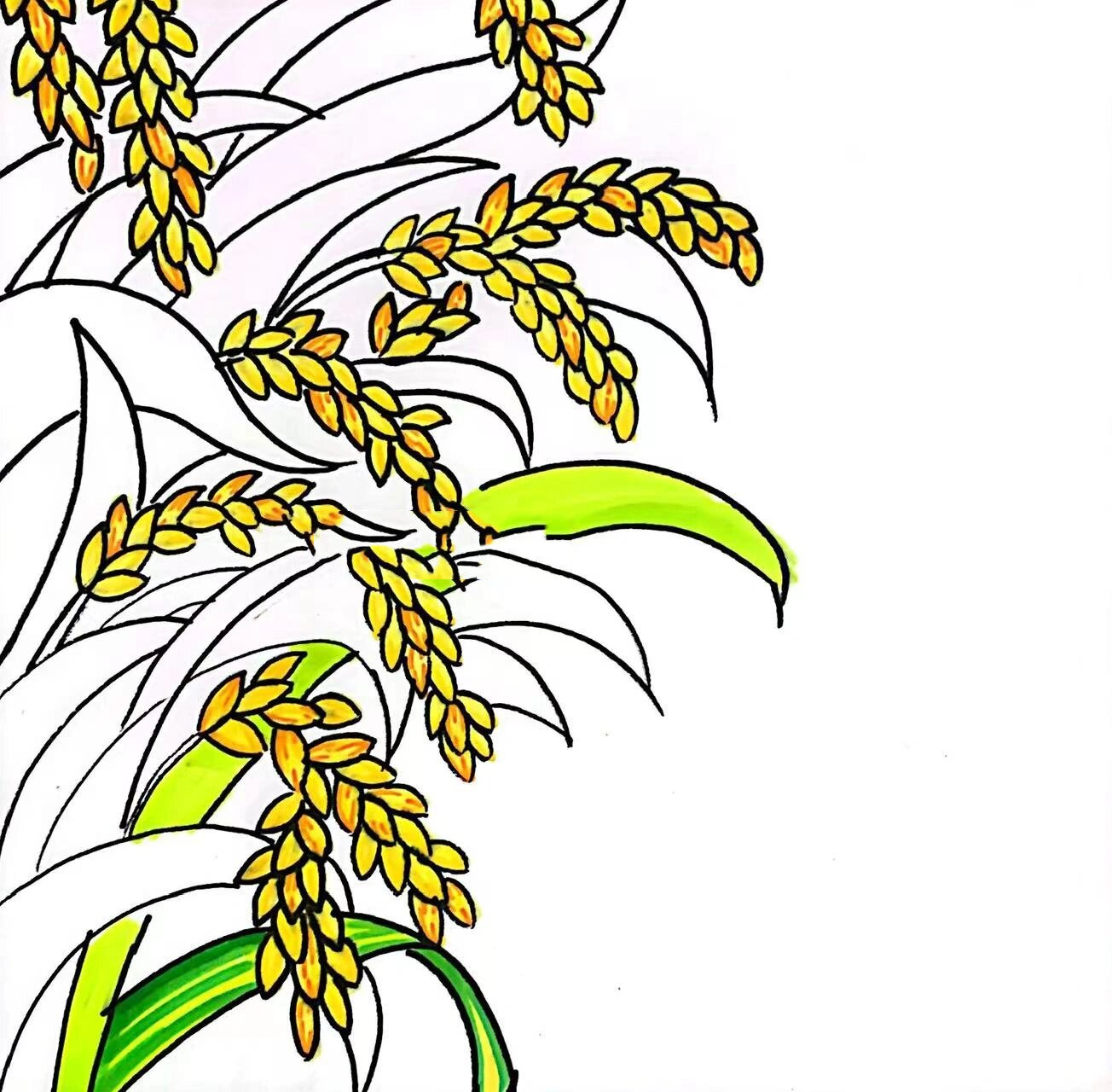 稻香金色水稻秋季儿童画