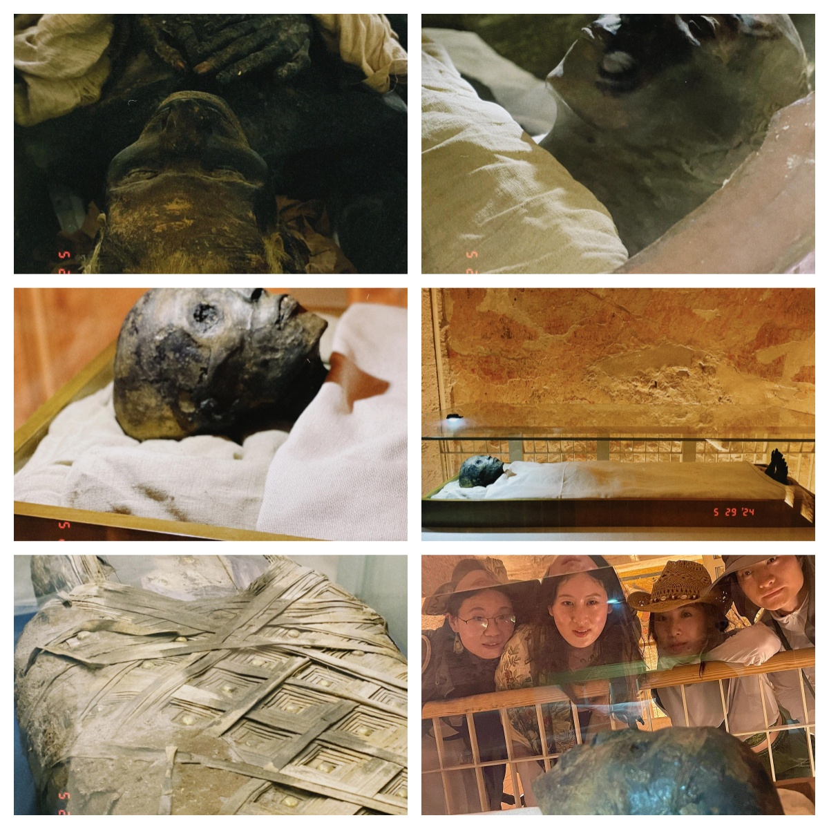 家人们来看木乃伊啦