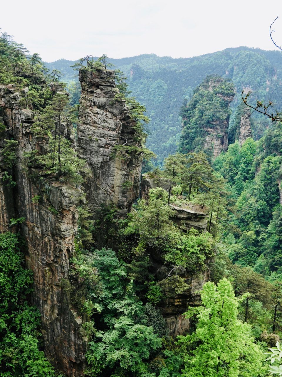 武陵源黄石寨 据介绍,黄石寨是武陵源风景区5条精品游览线之一,有"不