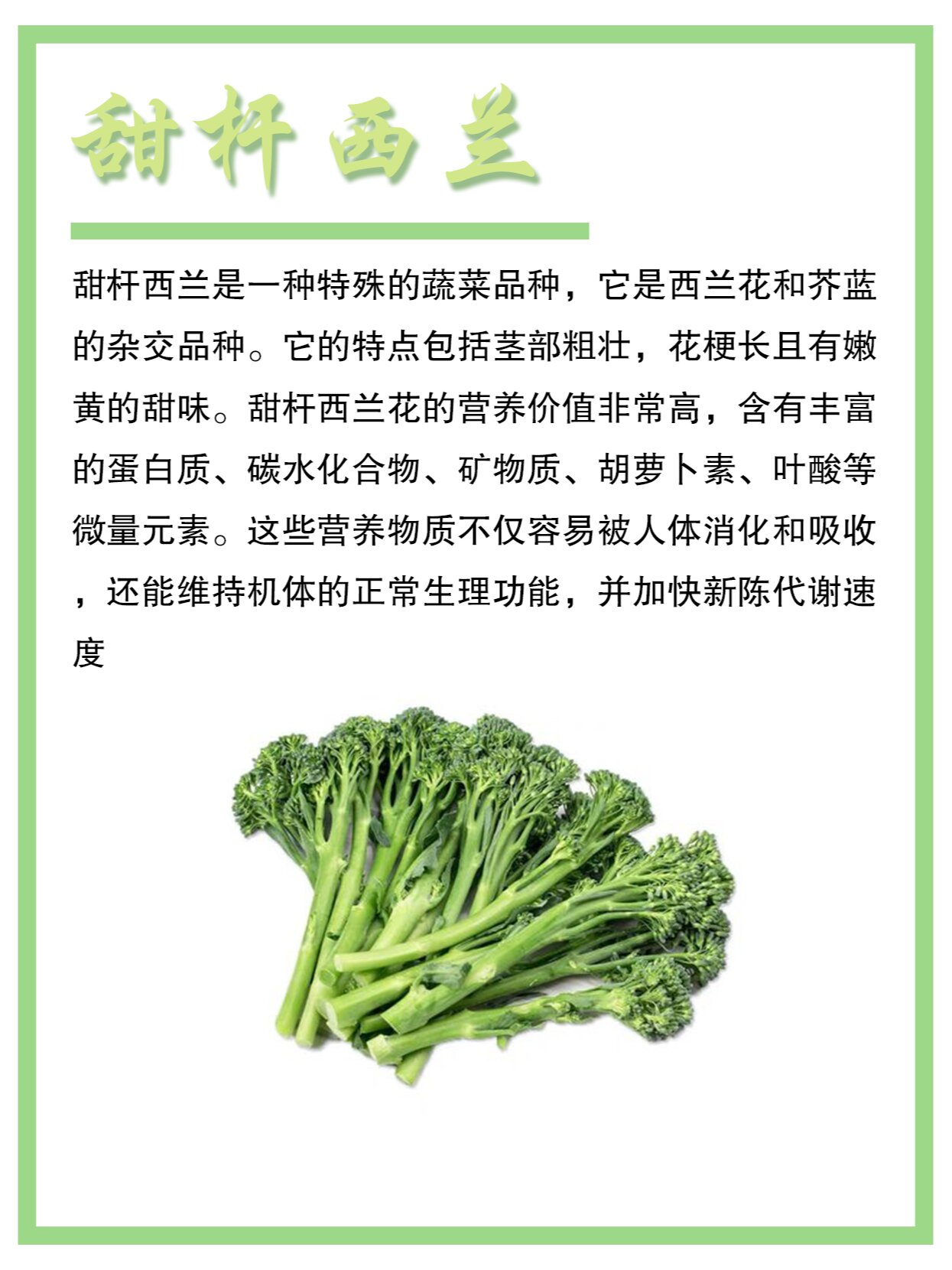 西兰花的功效与作用图片