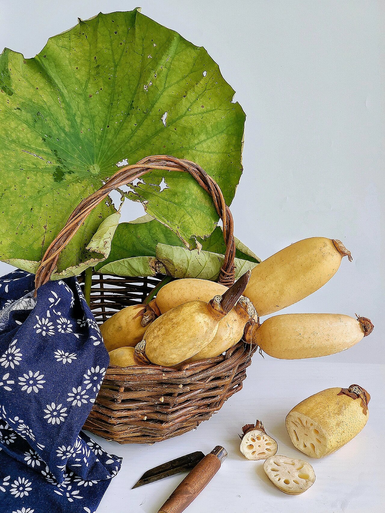 1000集美术生静物素材合集分享 | 莲藕