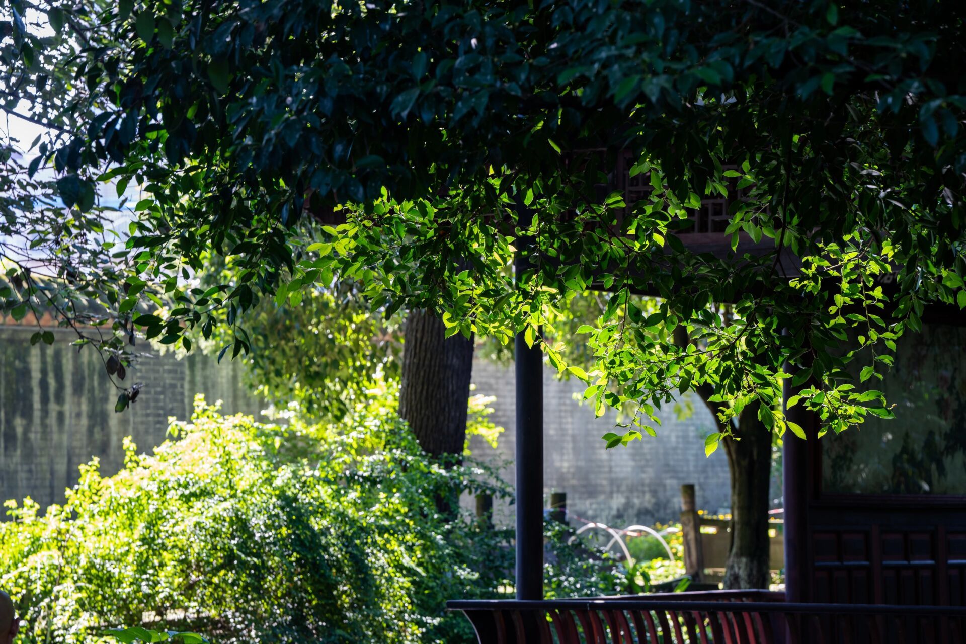 新繁东湖公园 成都市新都区新繁的东湖公园,距今有1200多年历史了.