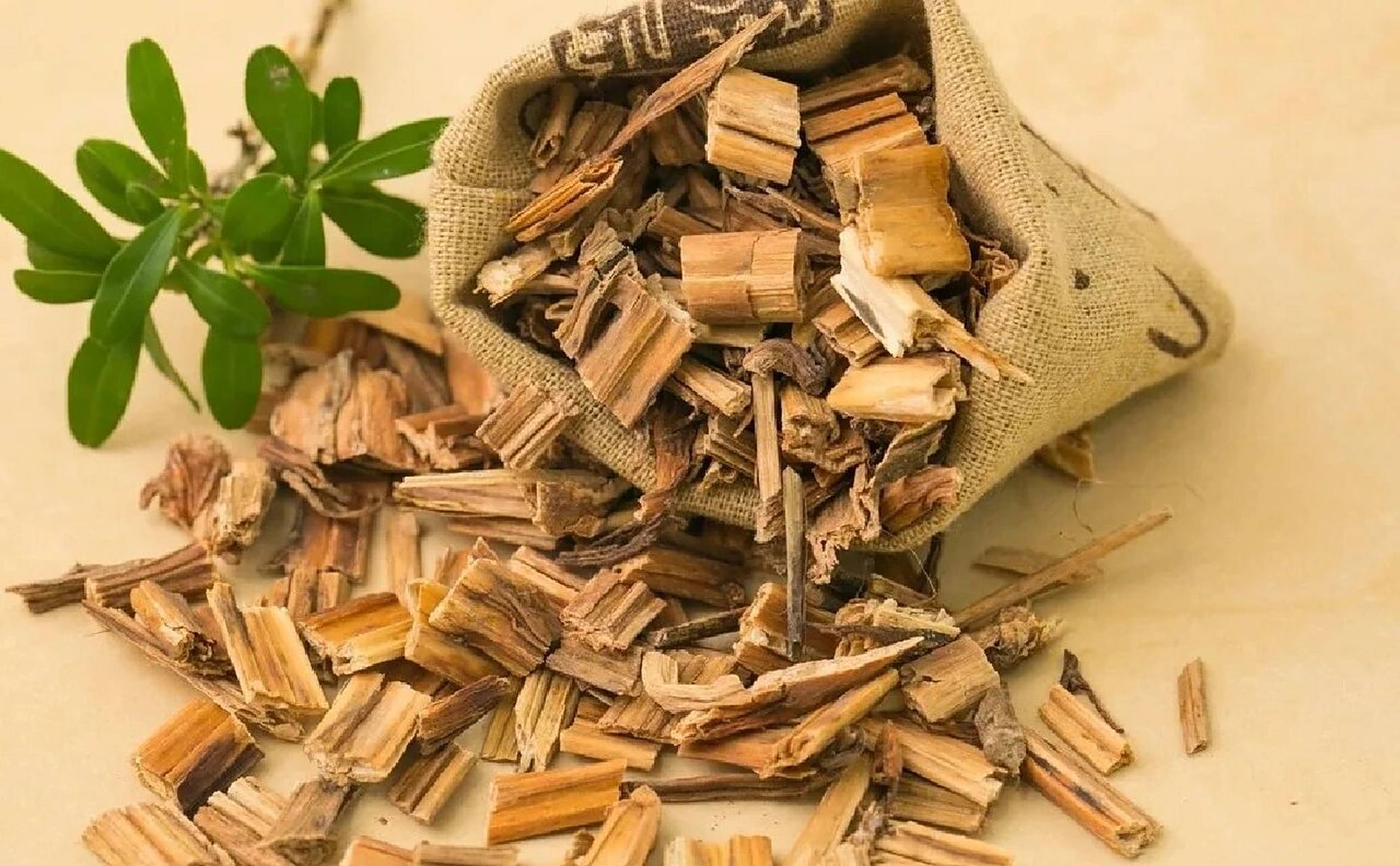 透骨草祛风除湿,舒筋活血,散瘀止痛 主要功效95 祛风除湿,舒筋活血