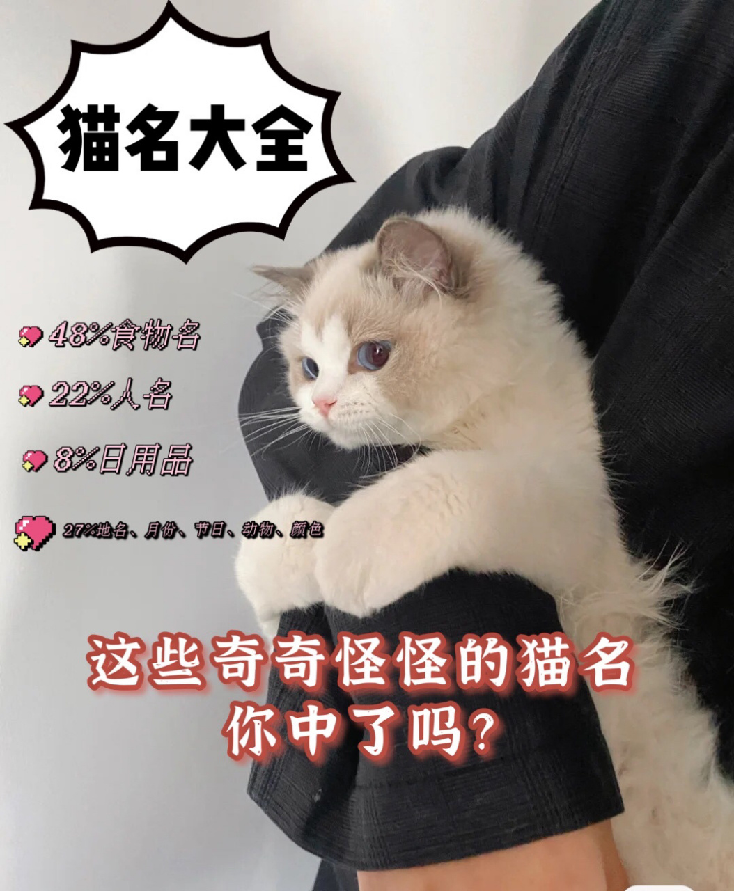 猫名大全,最沙雕猫名top10 我们统计了1000只猫咪的名字,找出了最沙雕